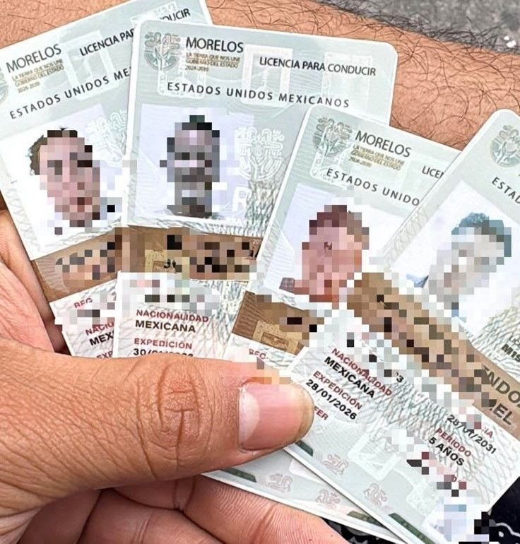 Detalle de Licencia Física Plastificada